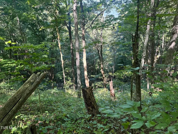 $495,000 | 7197 Tazewell Highway, Sneedville, TN 37869