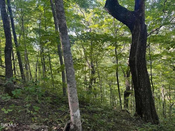 $495,000 | 7197 Tazewell Highway, Sneedville, TN 37869