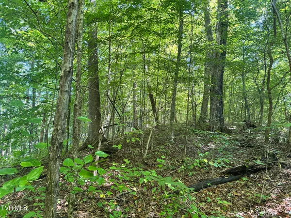 $495,000 | 7197 Tazewell Highway, Sneedville, TN 37869