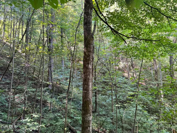 $495,000 | 7197 Tazewell Highway, Sneedville, TN 37869