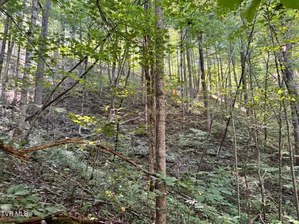 $495,000 | 7197 Tazewell Highway, Sneedville, TN 37869