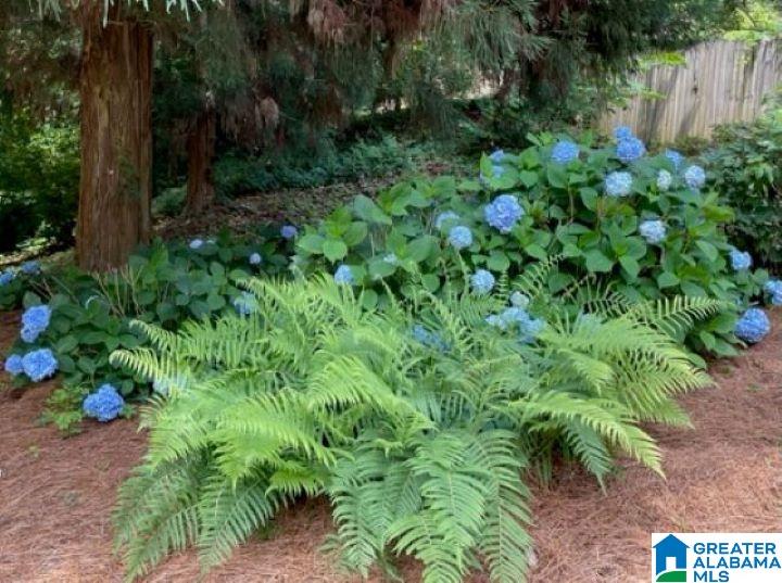 3626 Knightsbridge Road Birmingham, AL 35223 - Photo 58 of 67