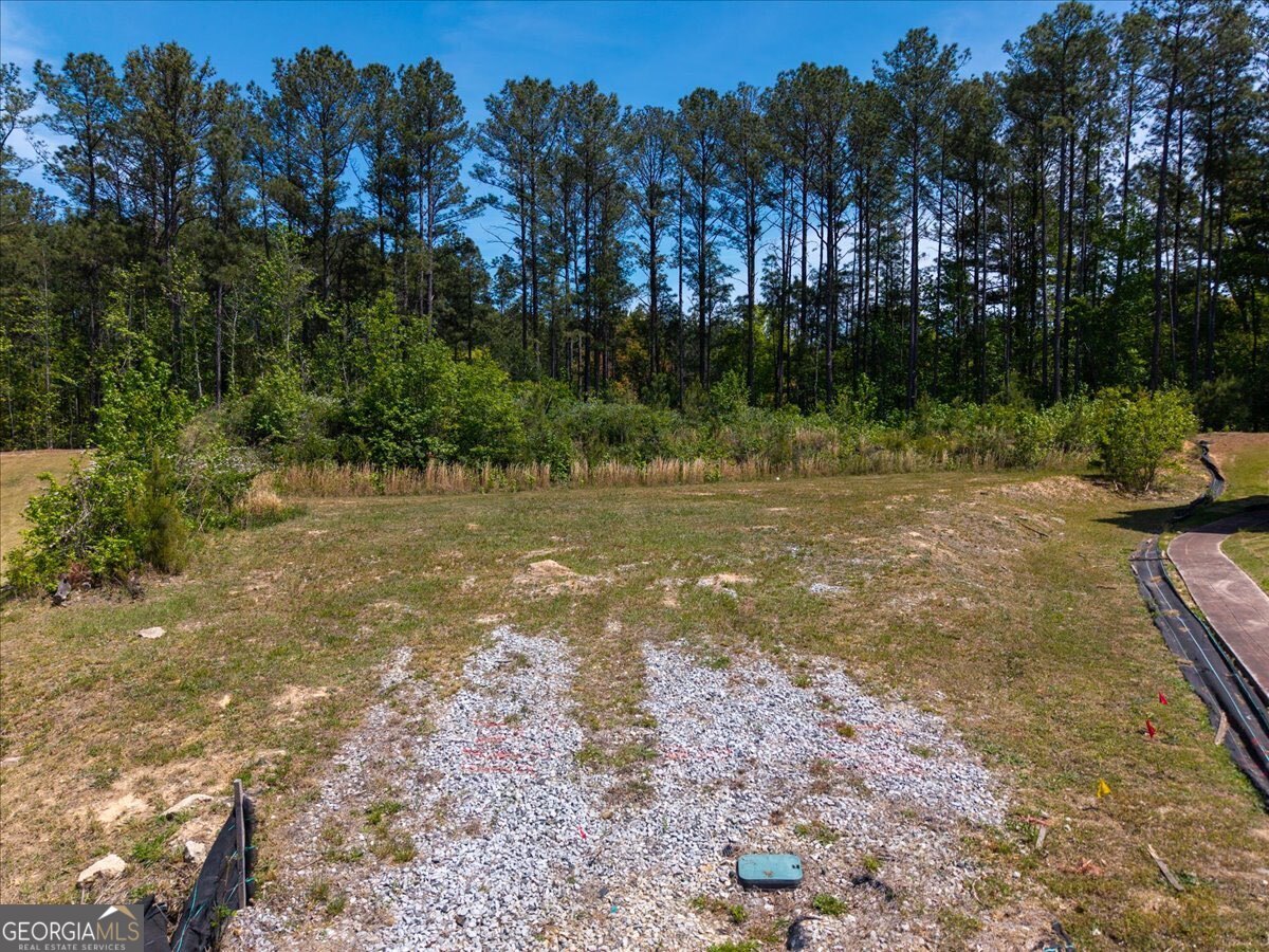 a view of a yard with a tree