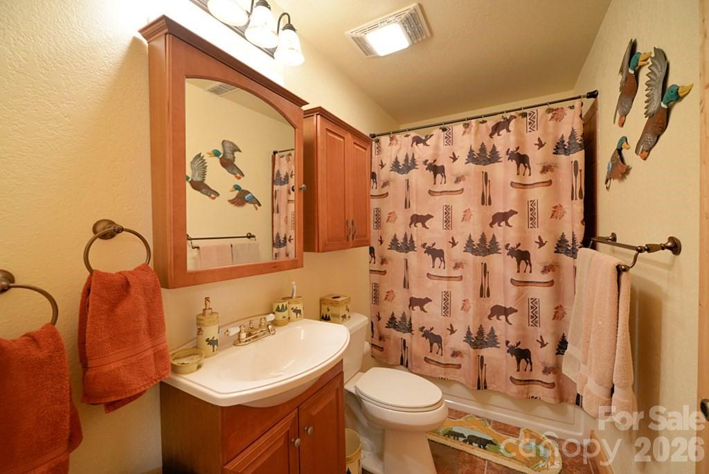 470 Bear Ridge Road Tuckasegee, NC 28783 - Photo 26 of 28 a bathroom with a sink toilet and shower