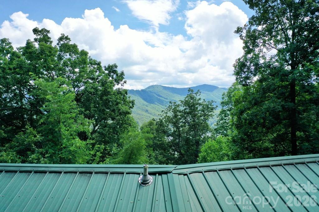 470 Bear Ridge Road Tuckasegee, NC 28783 - Photo 6 of 28 a balcony with trees in front of it