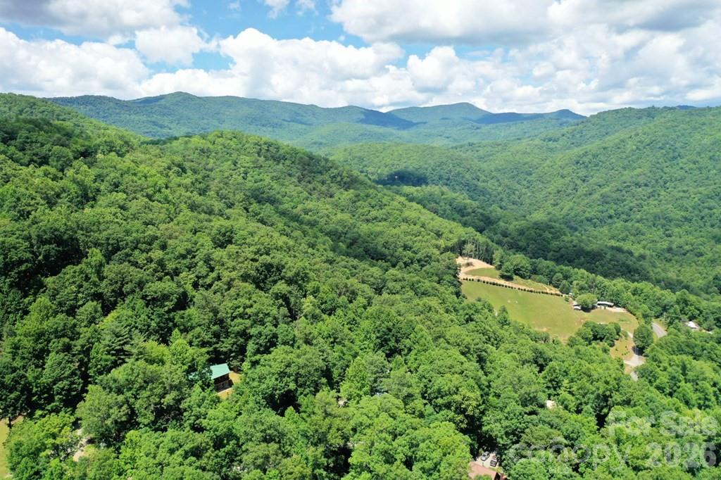 470 Bear Ridge Road Tuckasegee, NC 28783 - Photo 10 of 28 a view of a city with lush green forest