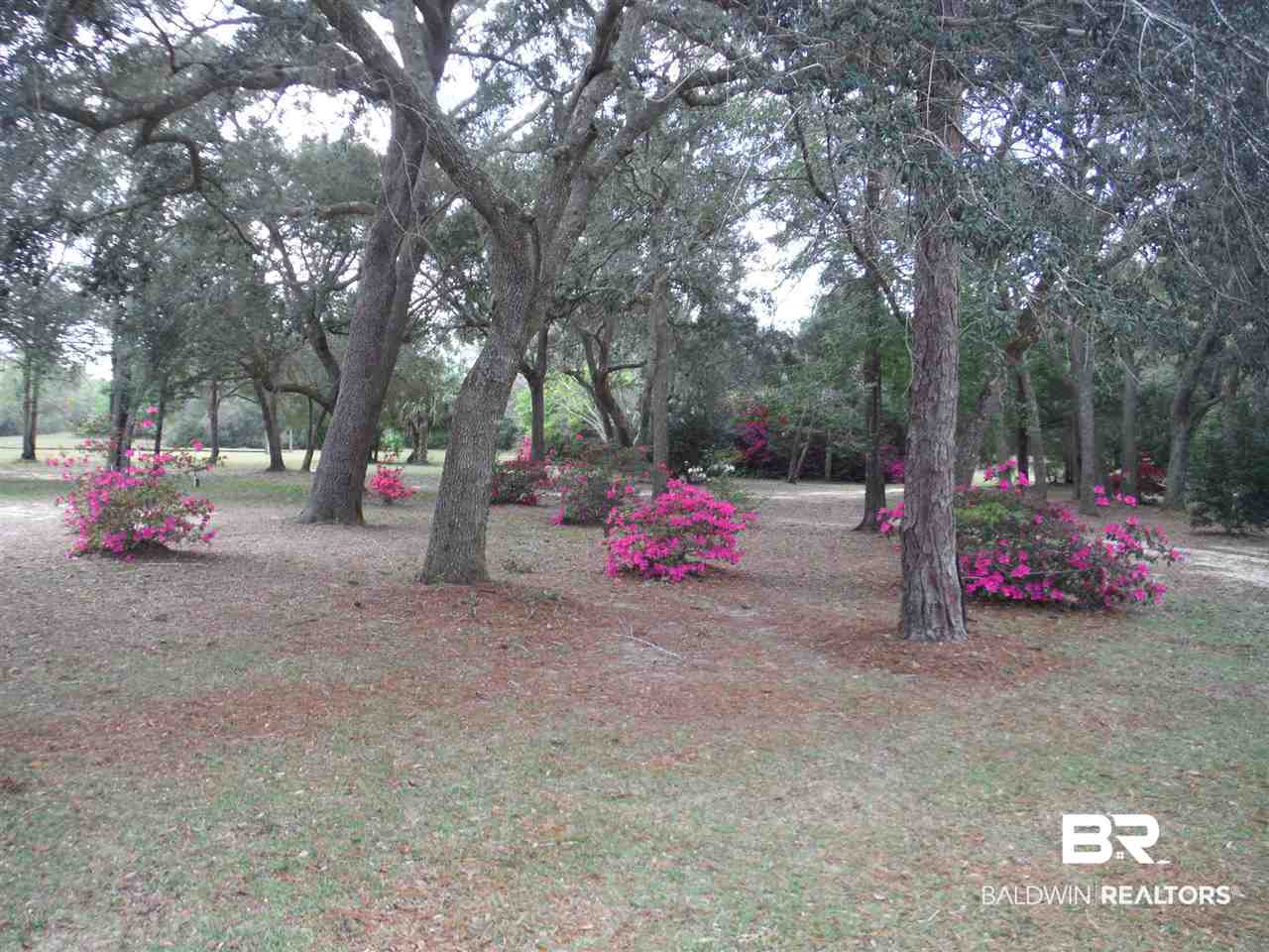 9175 County Road 99 Lillian, AL 36549 - Photo 2 of 50