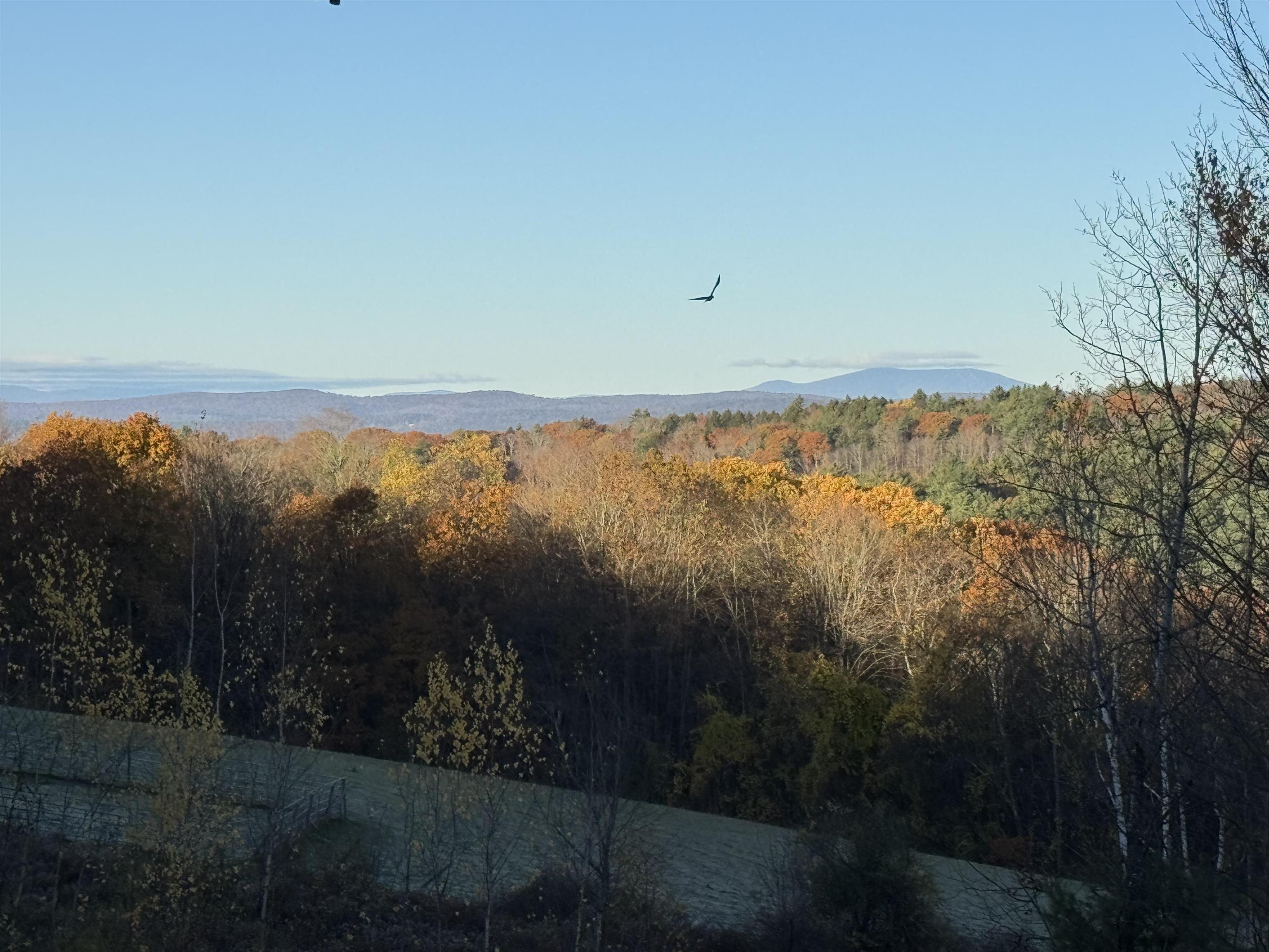 363 March Hill Road Walpole, NH 03608 - Photo 4 of 56