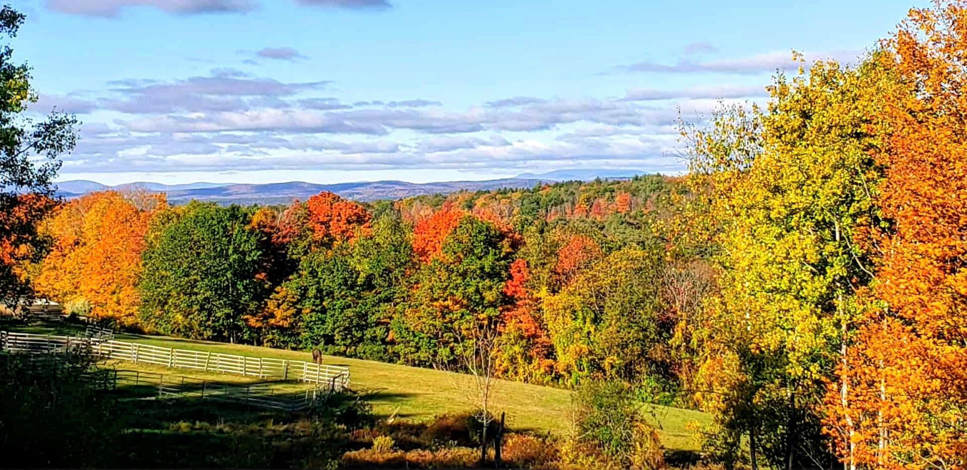363 March Hill Road Walpole, NH 03608 - Photo 5 of 56