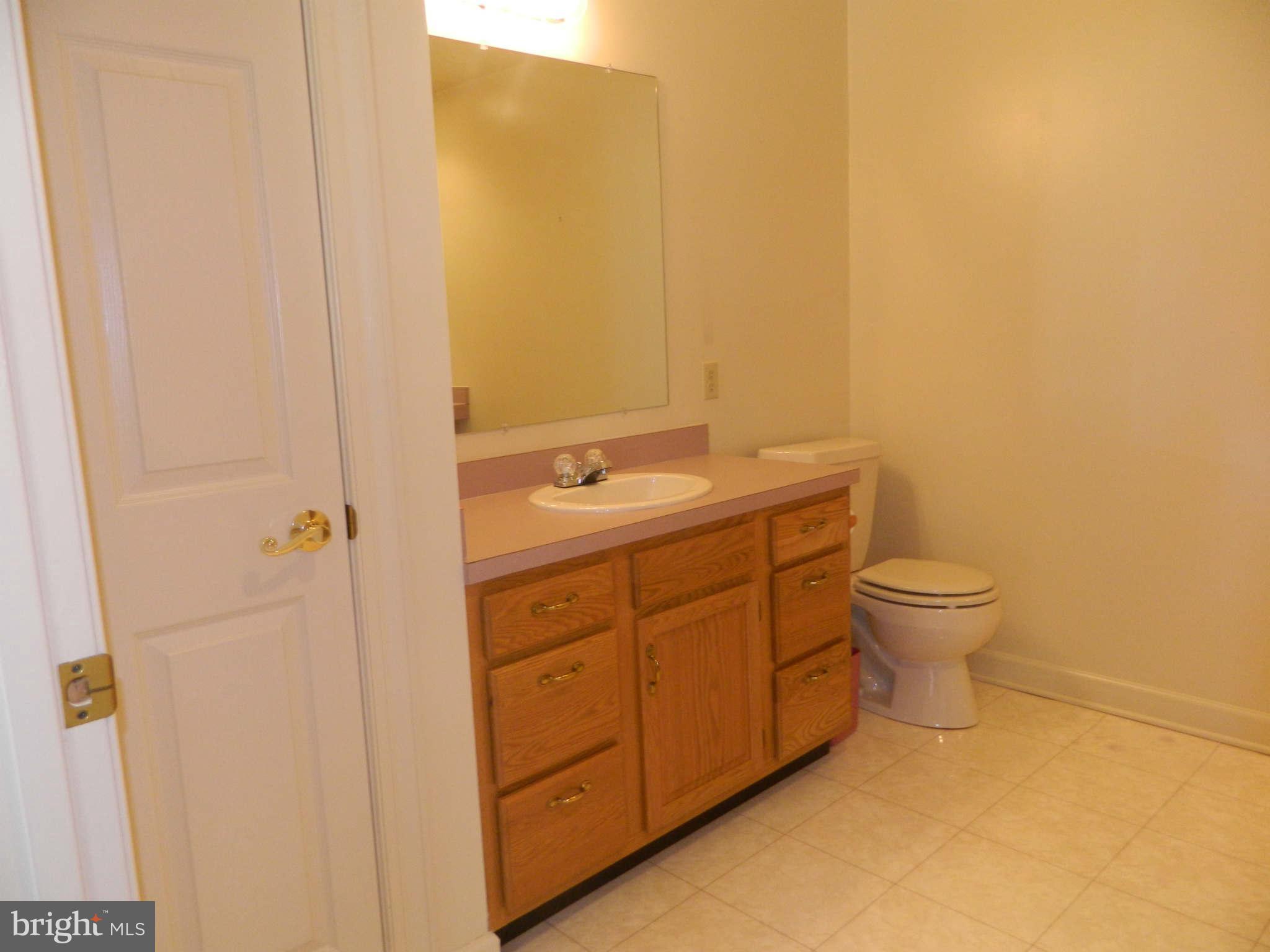 11036 Mapleville Road Hagerstown, MD 21742 - Photo 22 of 30 Bath (Master)