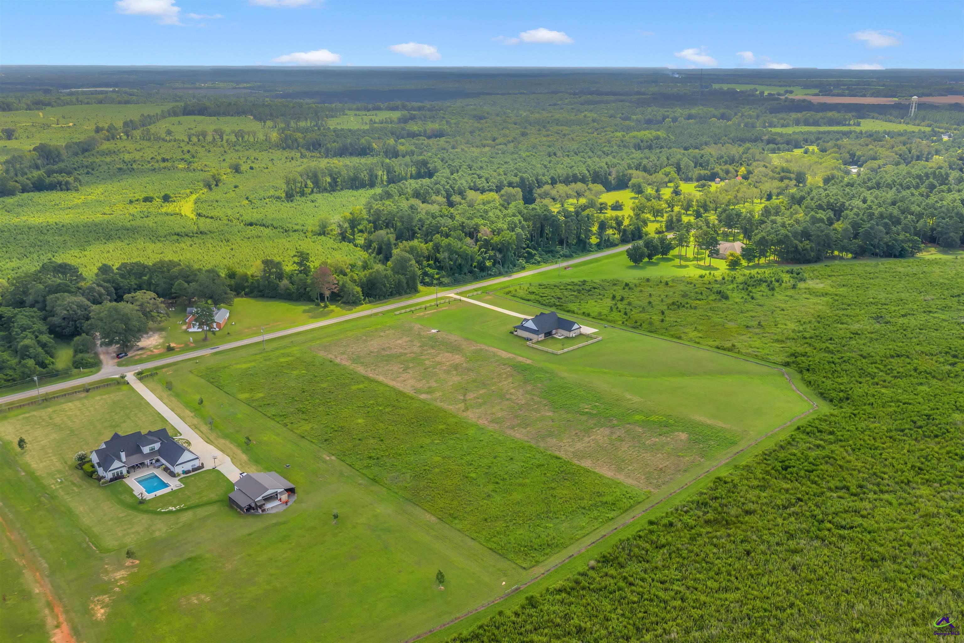 Lot 14 Elko Road Elko, GA 31025 - Photo 8 of 12