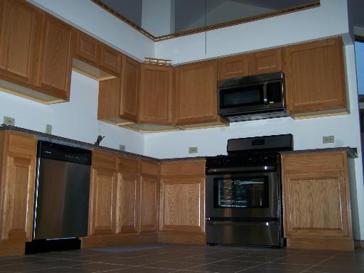 410 Danielle Road Matteson, IL 60443 - Photo 4 of 13