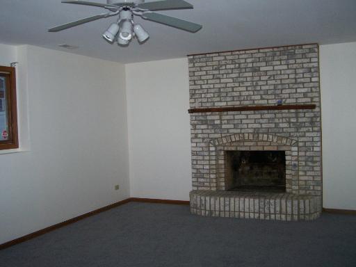 410 Danielle Road Matteson, IL 60443 - Photo 9 of 13