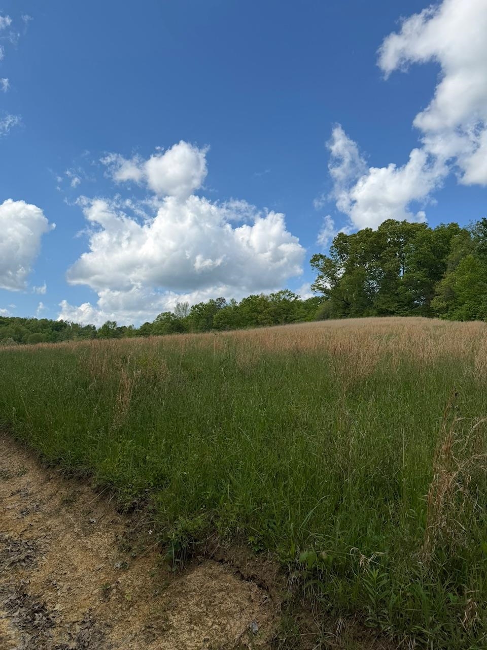 2395 Stringtown Road Sandy Hook, KY 41171 - Photo 10 of 13