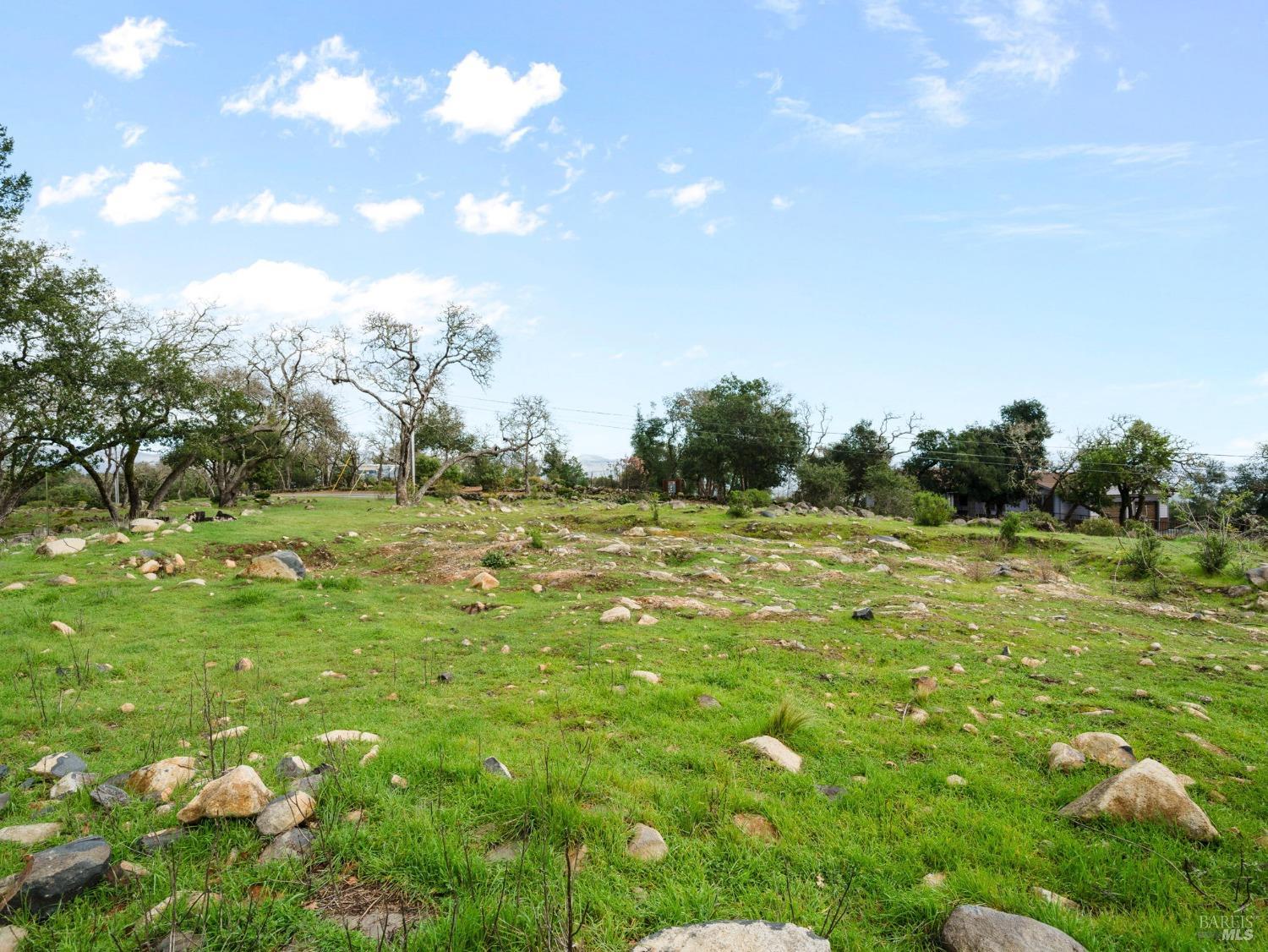 2924 Old Bennett Ridge Road Santa Rosa, CA 95404 - Photo 14 of 20 a view of a green field