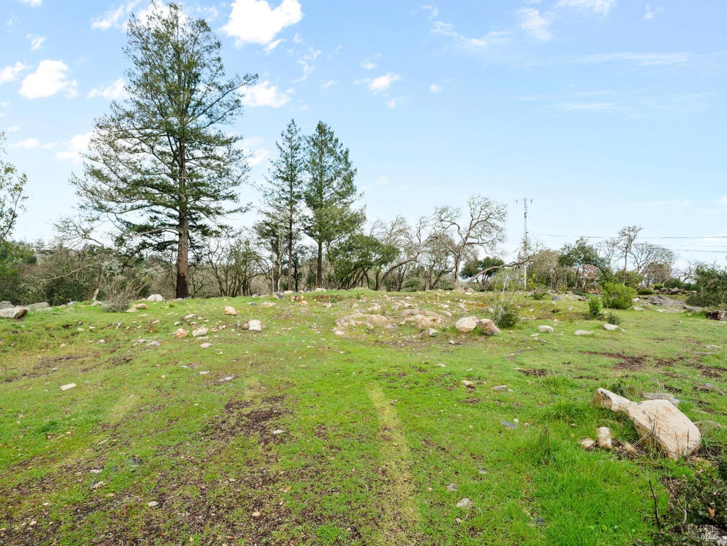 2924 Old Bennett Ridge Road Santa Rosa, CA 95404 - Photo 15 of 20 a view of a field with an trees