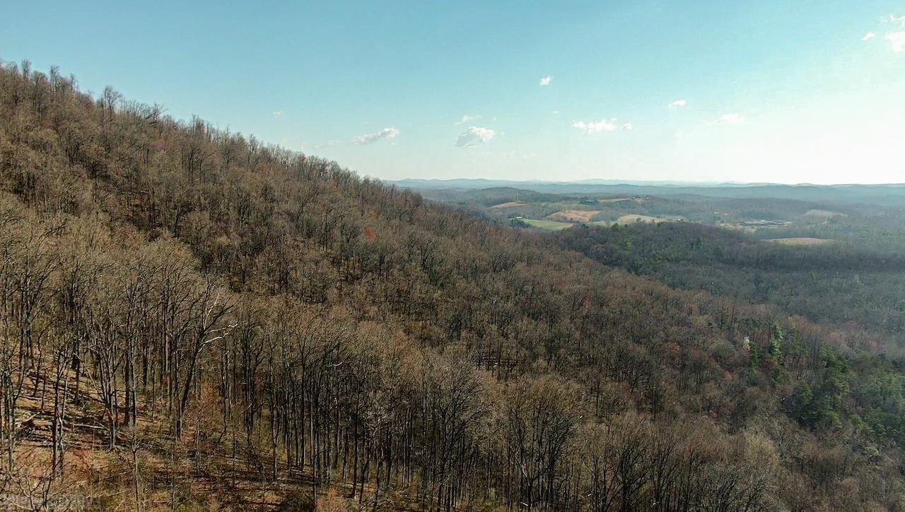 0 Brammer Spur Road Woolwine, VA 24185 - Photo 28 of 39 Gallery Image 28