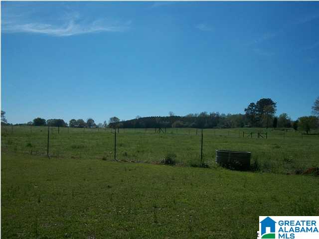 203 Camp Creek Road Vincent, AL 35178 - Photo 4 of 31