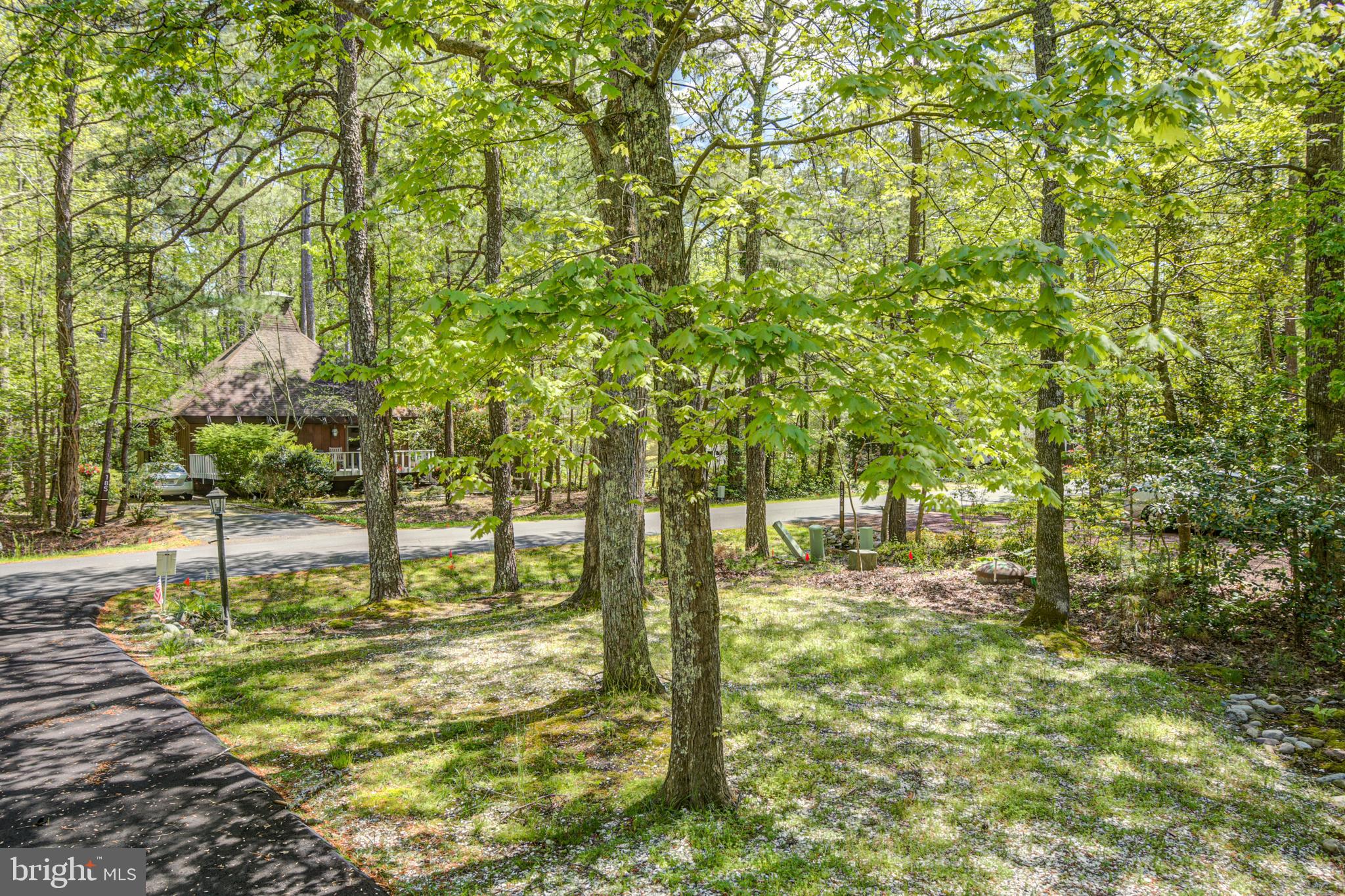 184 Sandyhook Road Ocean Pines, MD 21811 - Photo 14 of 39 Front yard view