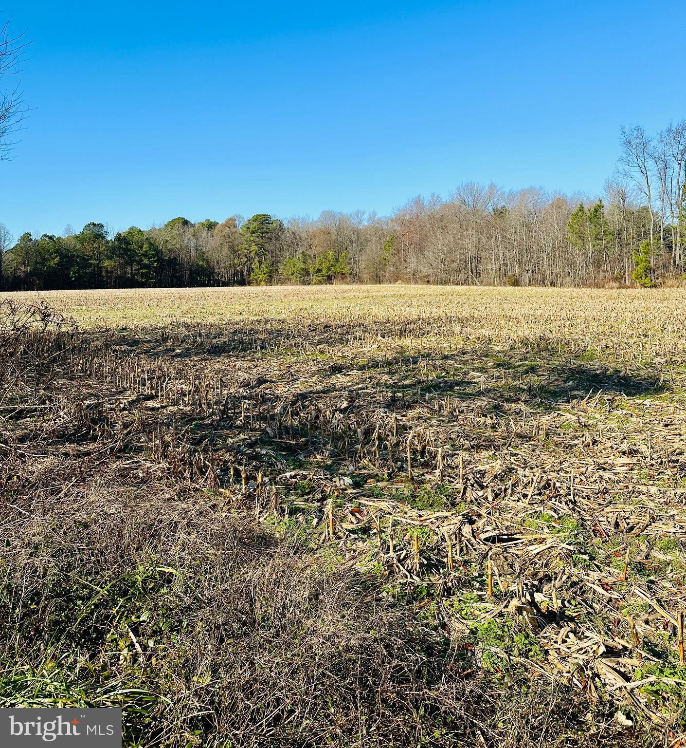 Gun And Rod Club Road Houston, DE 19954 - Photo 2 of 5