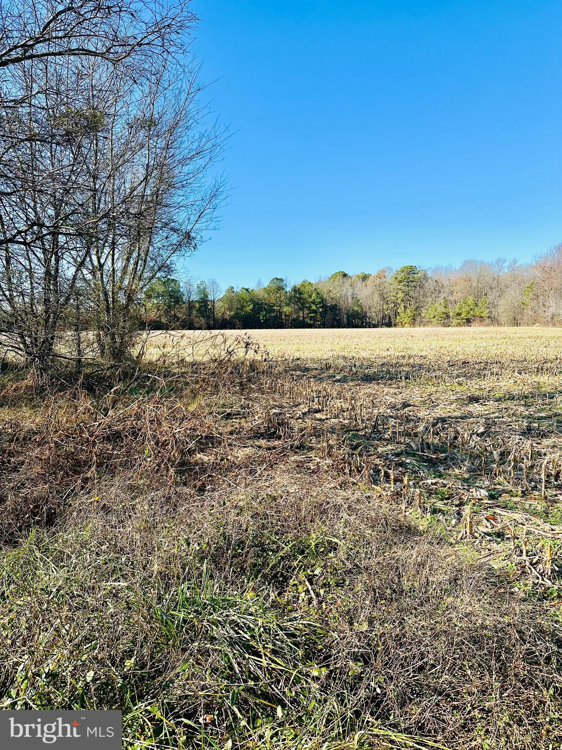 Gun And Rod Club Road Houston, DE 19954 - Photo 3 of 5