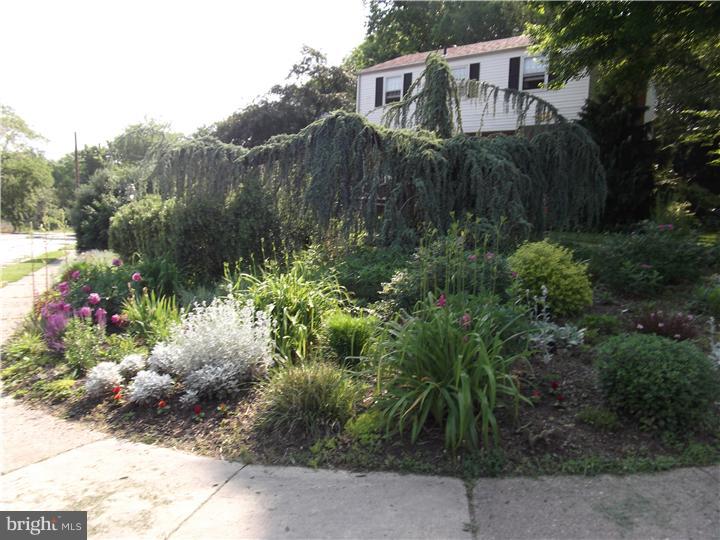 900 East Cathedral Road Philadelphia, PA 19128 - Photo 24 of 25