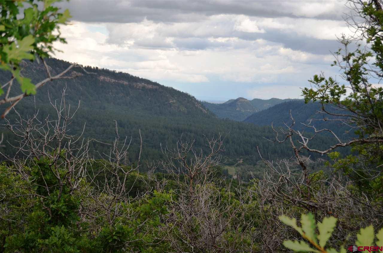397 Little Bit Road Durango, CO 81301 - Photo 1 of 18 Gallery Image 1