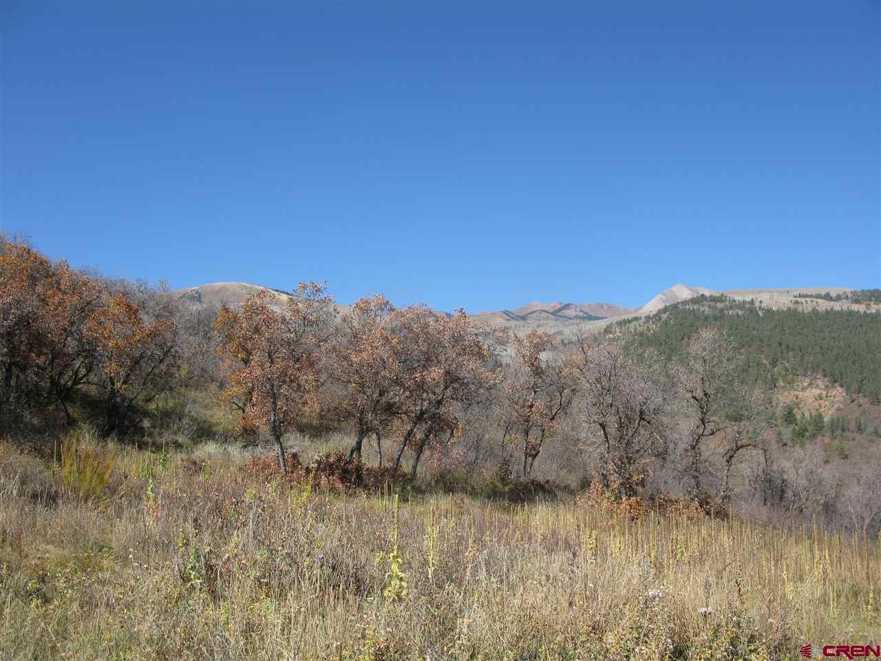 397 Little Bit Road Durango, CO 81301 - Photo 2 of 18 Gallery Image 2