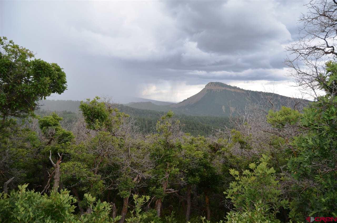 397 Little Bit Road Durango, CO 81301 - Photo 14 of 18 Gallery Image 14