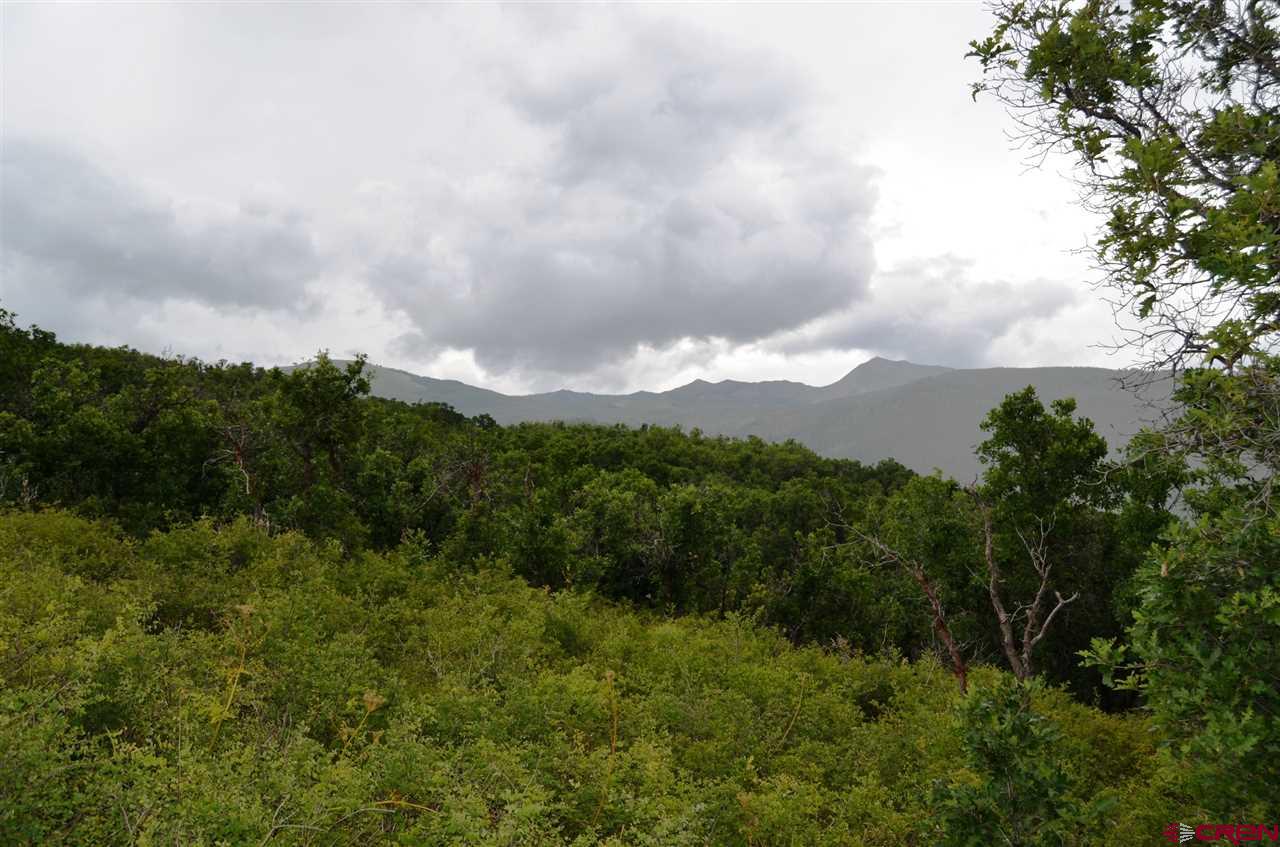 397 Little Bit Road Durango, CO 81301 - Photo 15 of 18 Gallery Image 15