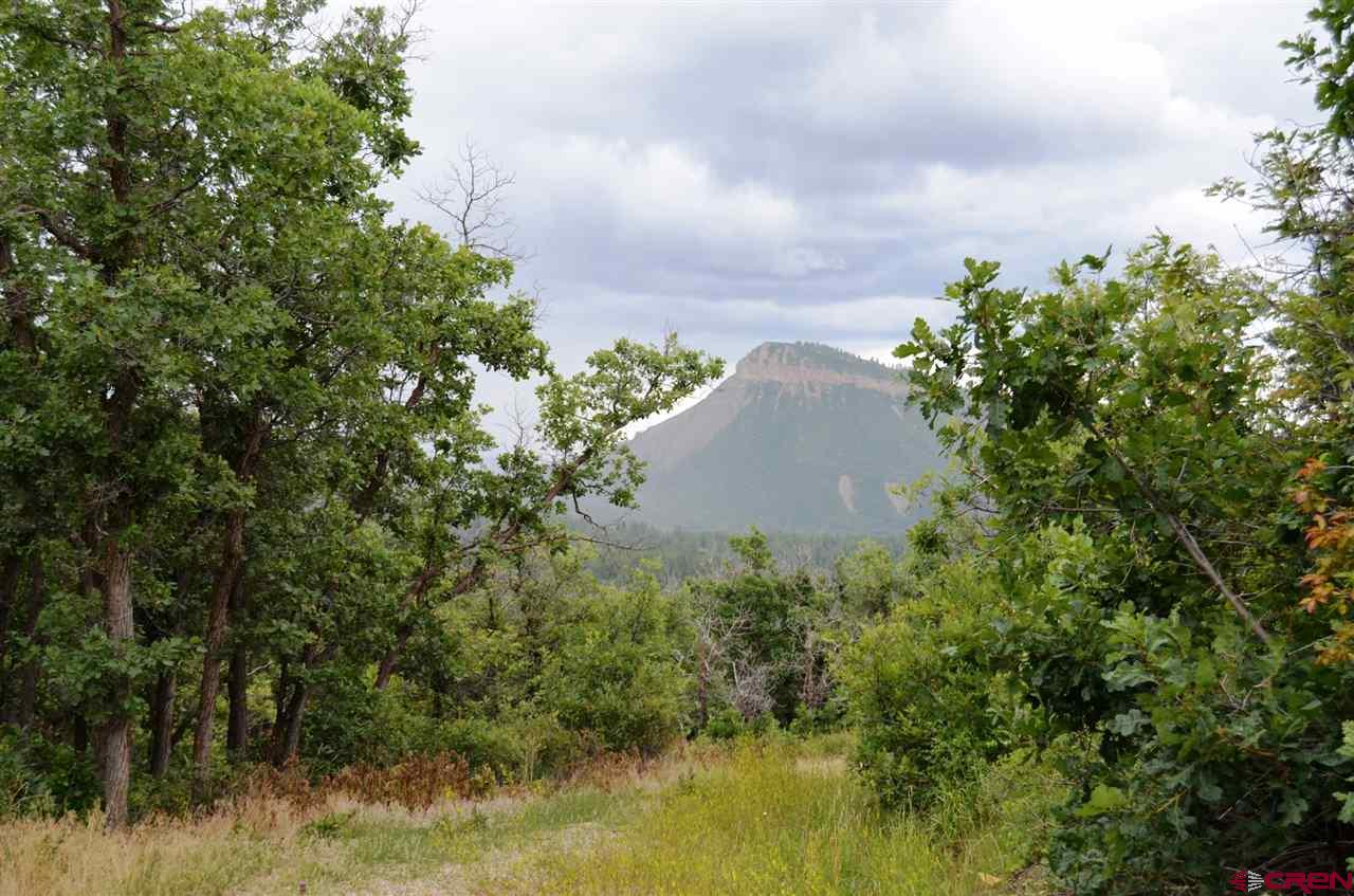 397 Little Bit Road Durango, CO 81301 - Photo 16 of 18 Gallery Image 16