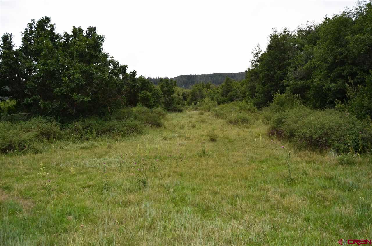 397 Little Bit Road Durango, CO 81301 - Photo 17 of 18 Gallery Image 17