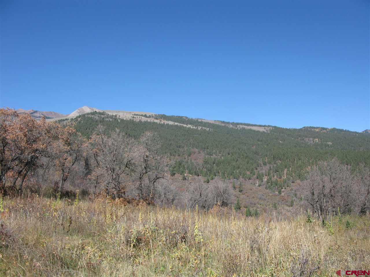 397 Little Bit Road Durango, CO 81301 - Photo 3 of 18 Gallery Image 3