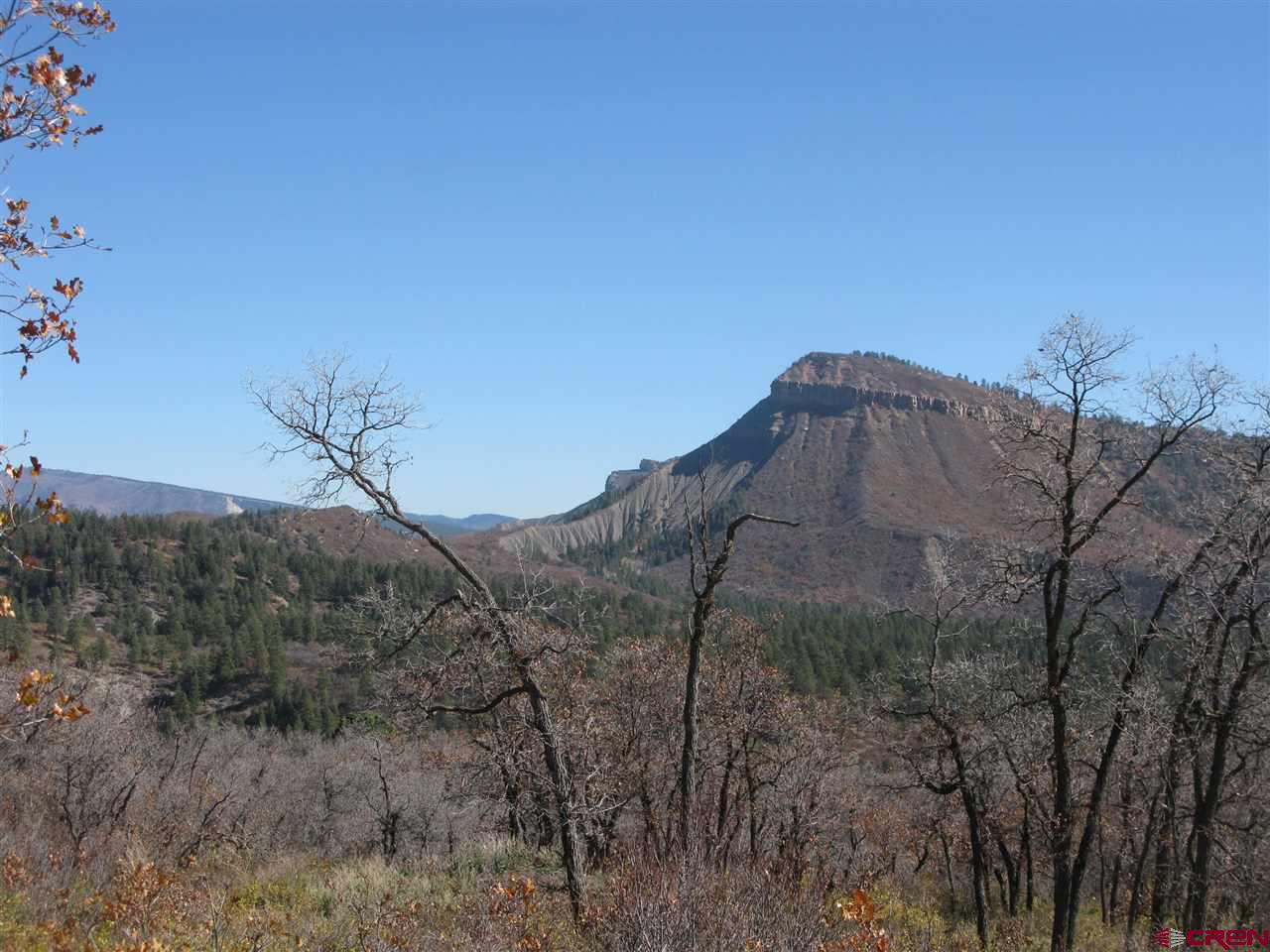 397 Little Bit Road Durango, CO 81301 - Photo 4 of 18 Gallery Image 4