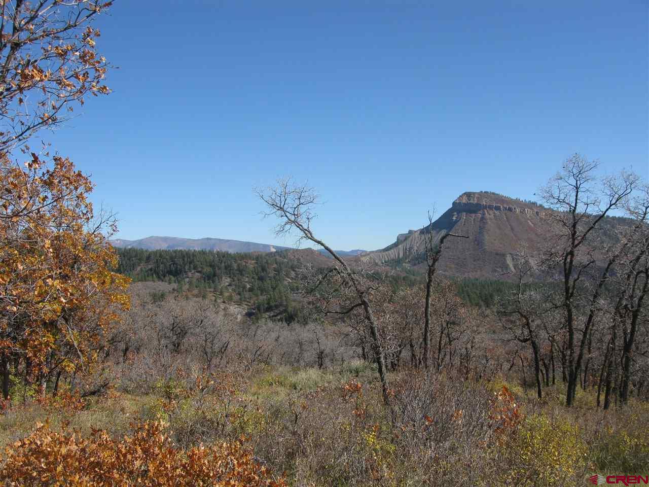 397 Little Bit Road Durango, CO 81301 - Photo 5 of 18 Gallery Image 5