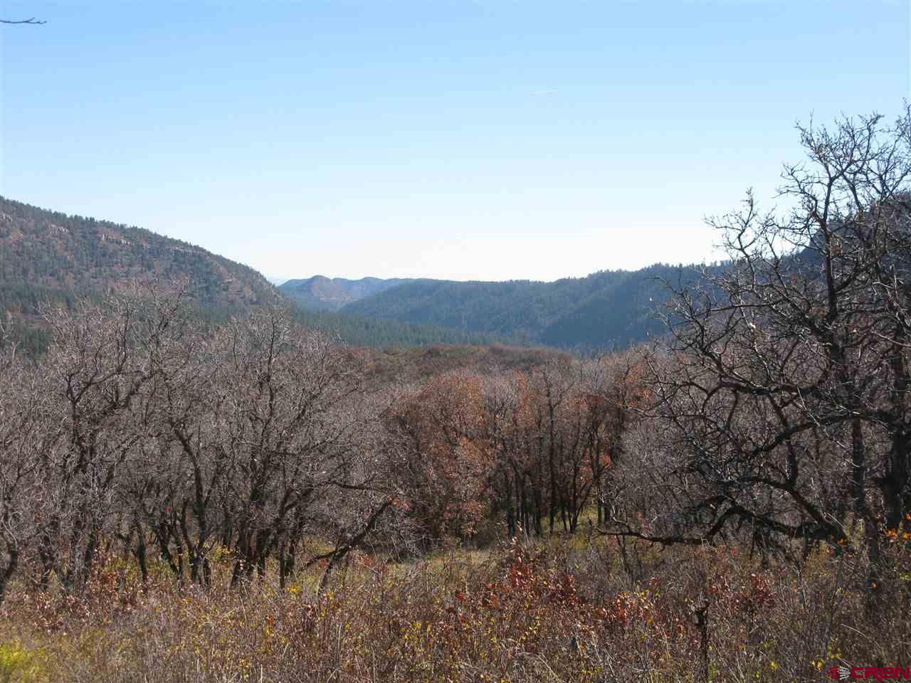 397 Little Bit Road Durango, CO 81301 - Photo 6 of 18 Gallery Image 6
