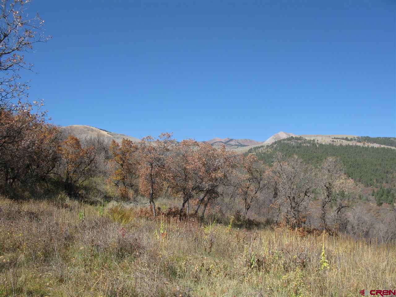 397 Little Bit Road Durango, CO 81301 - Photo 7 of 18 Gallery Image 7
