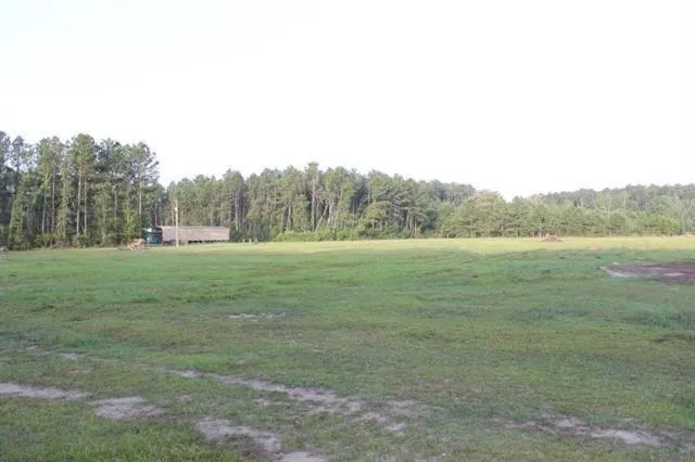 $115,000 | Tw-1-a2b Karli Lane, Albany, LA 70711