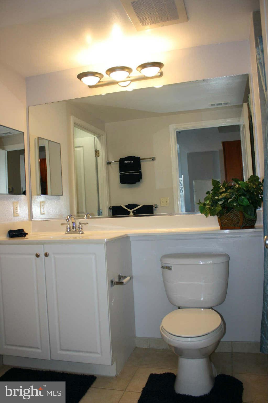 851 North Glebe Road, Unit 912 Arlington, VA 22203 - Photo 10 of 21 a bathroom with a toilet a sink and mirror