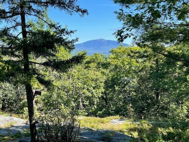 207 Rhododendron Road, Unit 14404 Fitzwilliam, NH 03447 - Photo 2 of 4