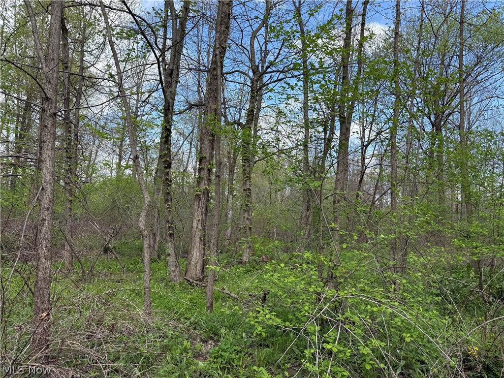 V/l Donley Road Middlefield, OH 44062 - Photo 10 of 30
