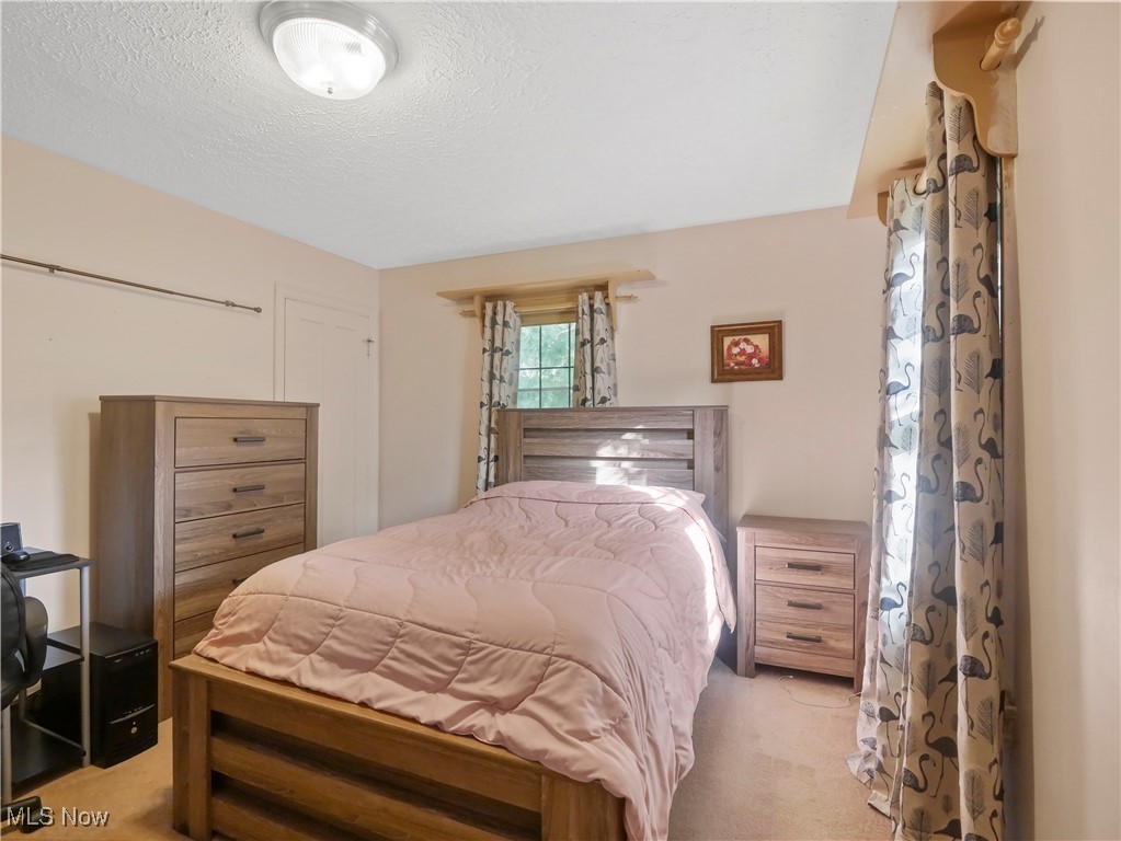 51 Overhill Road Youngstown, OH 44512 - Photo 23 of 34 Carpeted bedroom featuring a textured ceiling