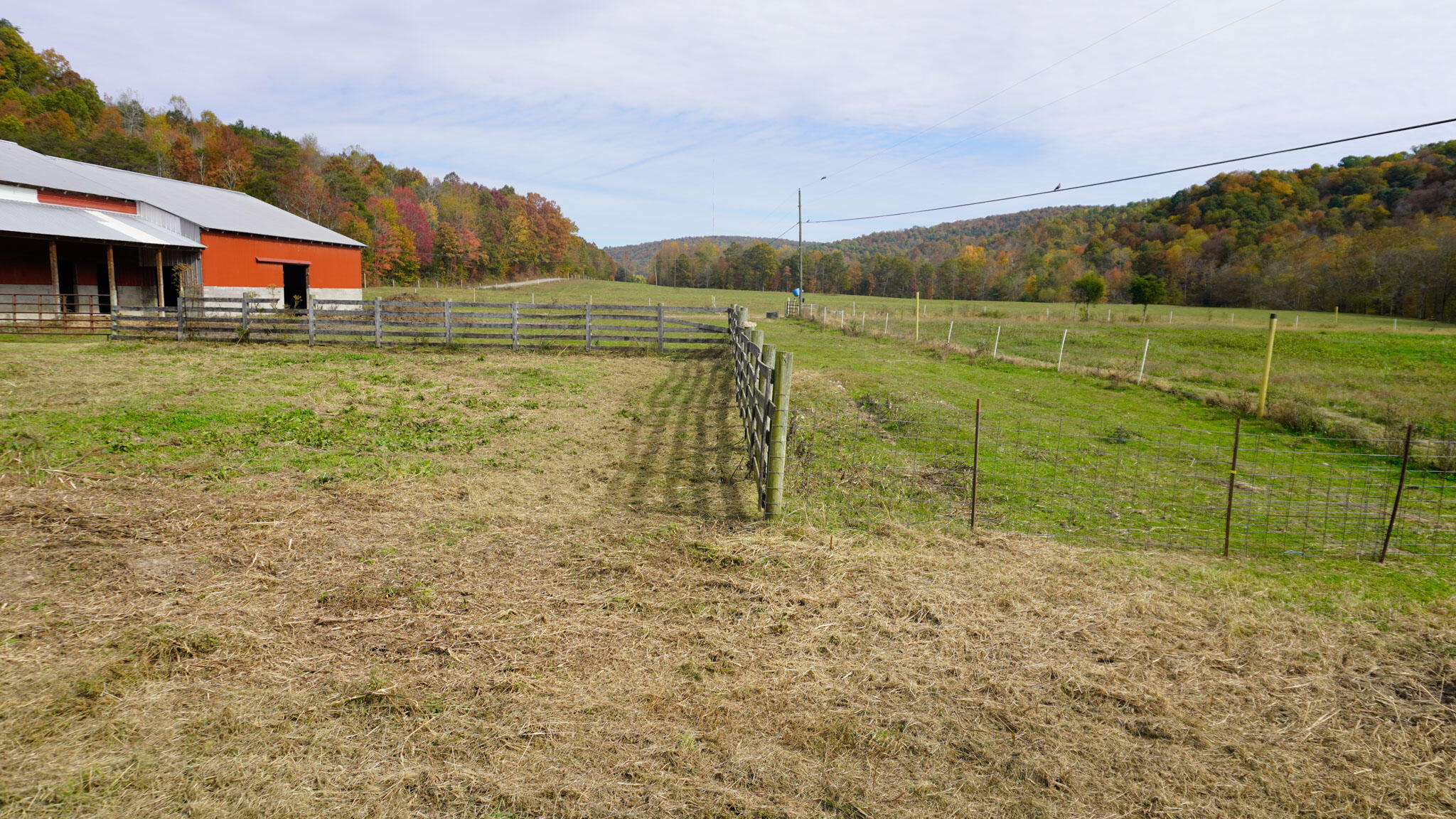 965 Turkey Creek Road Windsor, KY 42565 - Photo 60 of 65 CaseyCounty-154