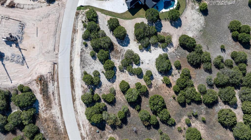 3246 Rio Grande Circle Cresson, TX 76035 - Photo 7 of 7 an aerial view of a house with a yard and plants