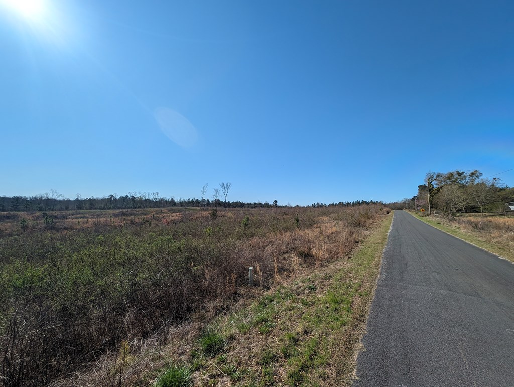 4300 River Fork Road Waterloo, SC 29384 - Photo 10 of 11