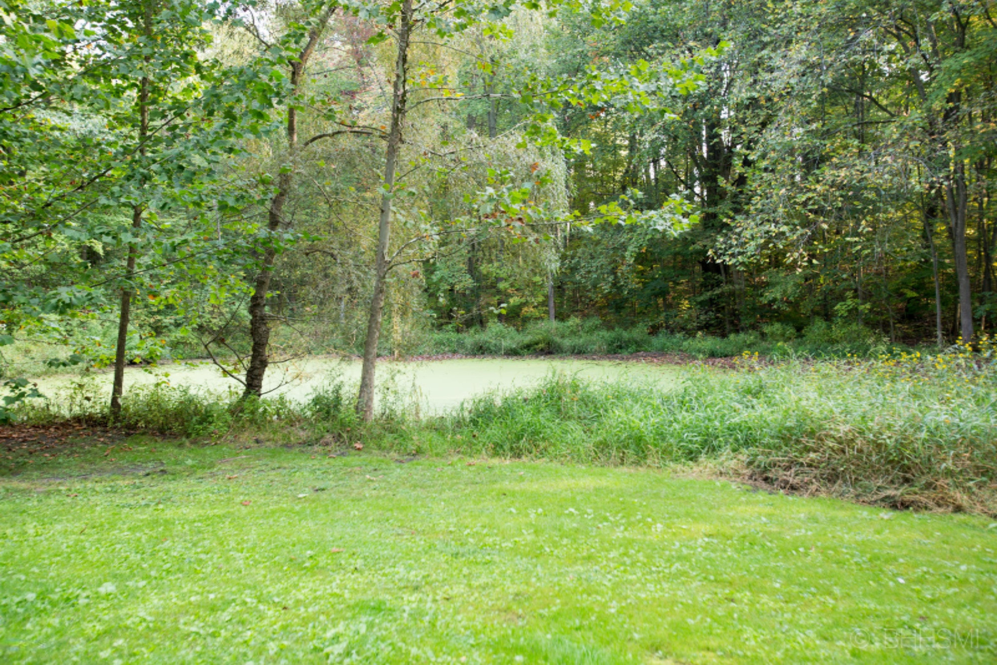 1770 West Dowling Road Dowling, MI 49050 - Photo 24 of 32 1770 dowling-124