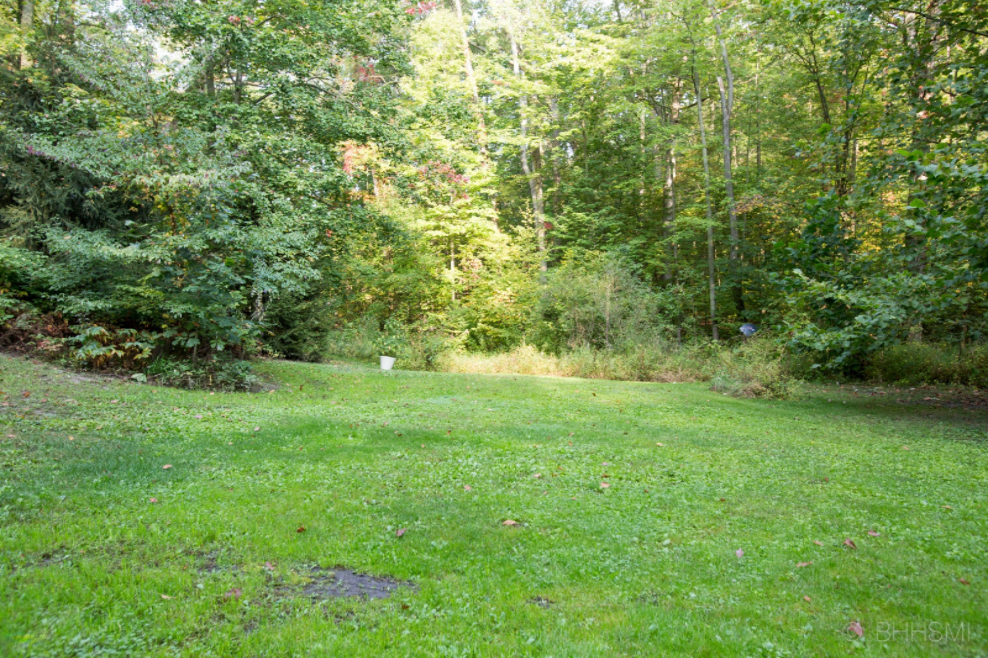 1770 West Dowling Road Dowling, MI 49050 - Photo 25 of 32 1770 dowling-125