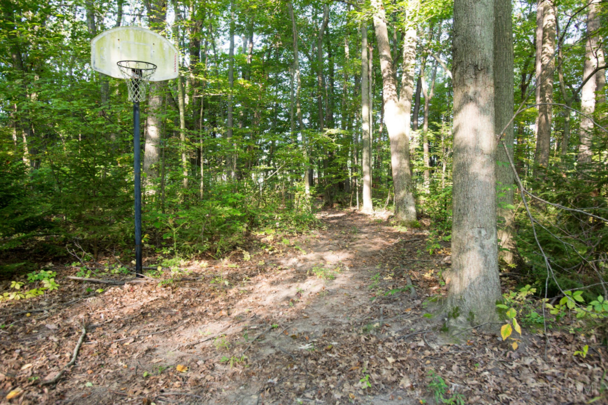 1770 West Dowling Road Dowling, MI 49050 - Photo 27 of 32 1770 dowling-127