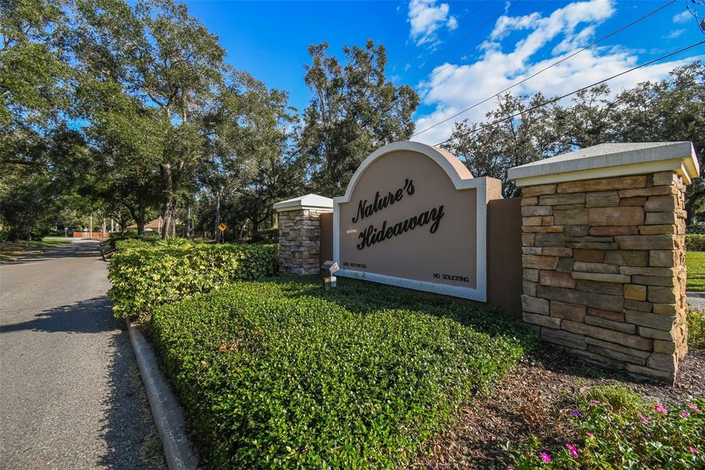 7115 Hummingbird Lane New Port Richey, FL 34655 - Photo 3 of 75