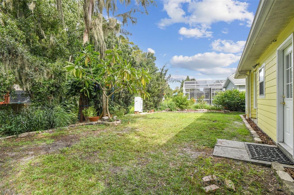7115 Hummingbird Lane New Port Richey, FL 34655 - Photo 56 of 75 a view of a yard with plants and a trees